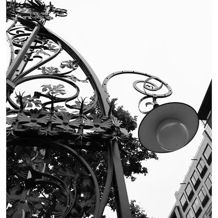 Forget Me Not بيت ضيافة