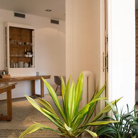 Forget Me Not Barcelona