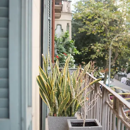 Forget Me Not بيت ضيافة برشلونة