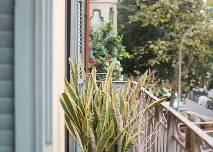 Forget Me Not Gæstehus Barcelona